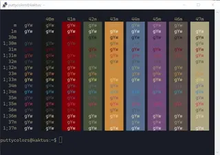 Ciapre PuTTY color scheme preview