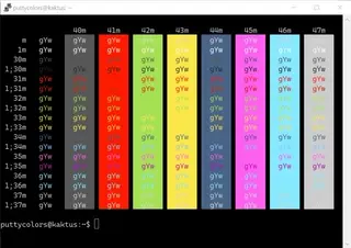 Hurtado PuTTY color scheme preview