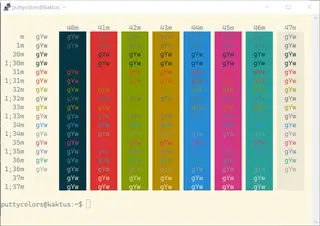 Solarized Light PuTTY color scheme preview