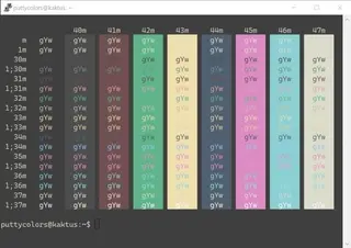 Zenburn PuTTY color scheme preview